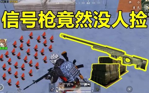 手游绝地求生辅助会出现闪退问题吗？
