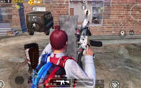 绝地求生什么辅助好用？哪些辅助的性价比高一些？