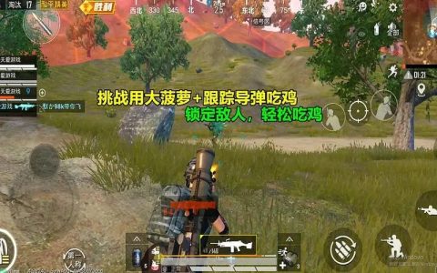 绝地求生外国辅助哪个受欢迎？主要看什么性能？