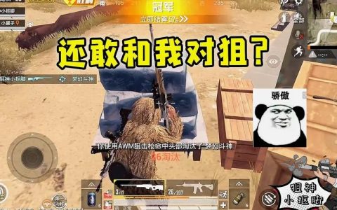 绝地求生太阳神辅助在使用过程中的注意事项都有什么？