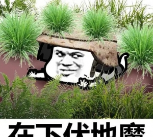 绝地求生533卡盟的雷达辅助的功能如何？