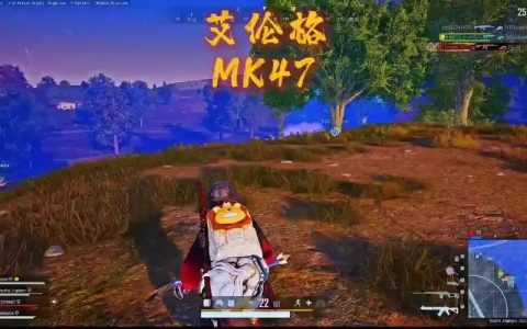 绝地求生卡盟503的辅助质量怎么样？怎么看啊？