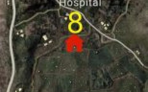 绝地求生宏和辅助的区别,绝地求生宏与辅助的区别，深入解析与影响