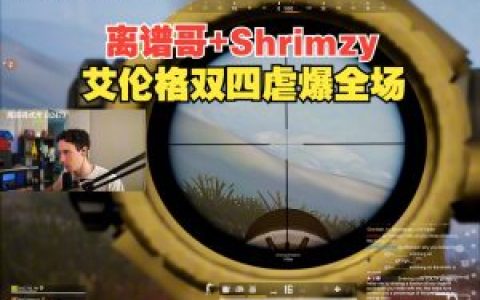 2021绝地求生辅助制作,2021绝地求生辅助制作，探索与创新的边界
